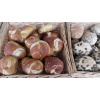 brotchen_329753783