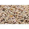 flohsamenschalen