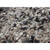 wildfruchtmuesli_2