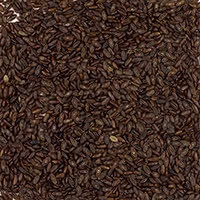 istock_000015442243xsmall_flohsamen