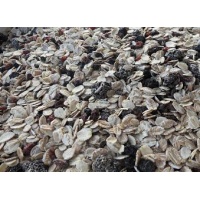 wildfruchtmuesli_2