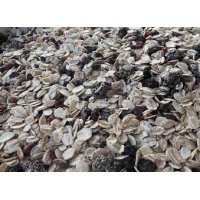 wildfruchtmusli